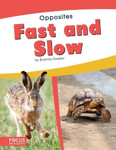 Cover image for Opposites: Fast and Slow