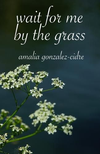 Cover image for wait for me by the grass