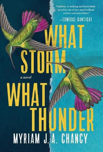Cover image for What Storm, What Thunder