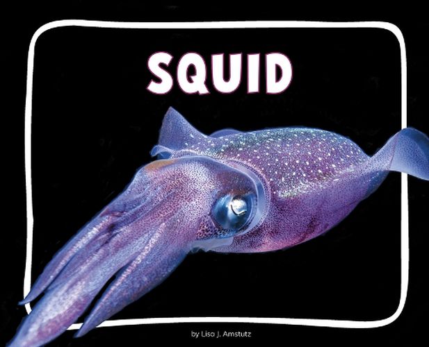 Cover image for Squid