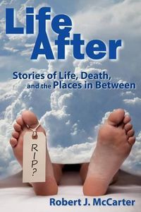 Cover image for Life After: Stories of Life, Death, and the Places in Between