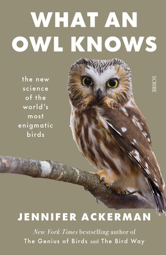 Cover image for What an Owl Knows