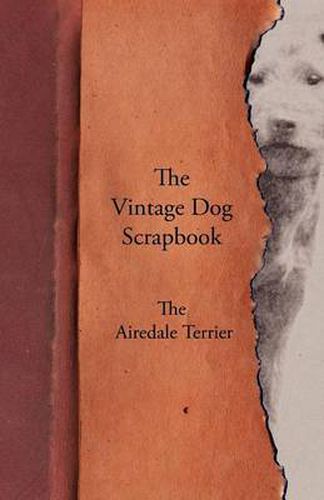 Cover image for The Vintage Dog Scrapbook - The Airedale Terrier