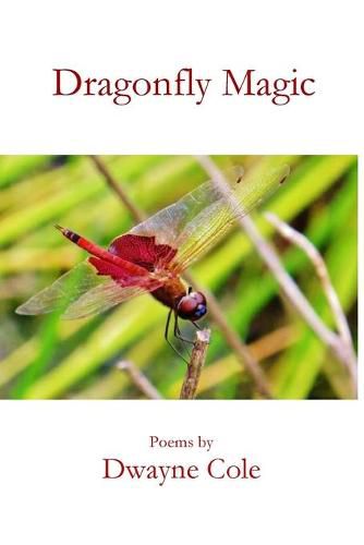 Cover image for Dragonfly Magic