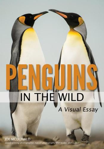 Cover image for Penguins In The Wild