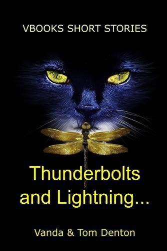 Cover image for Thunderbolts and Lightning