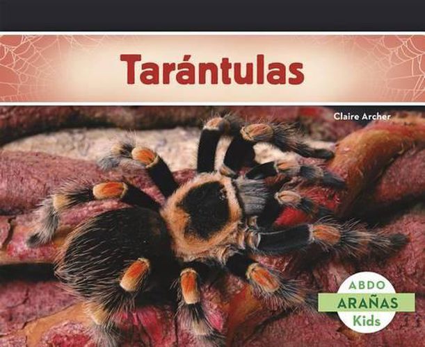 Cover image for Tarantulas