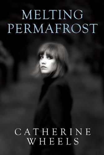 Cover image for Melting Permafrost