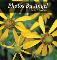 Cover image for Photos By Angel