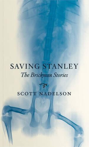 Cover image for Saving Stanley: The Brickman Stories