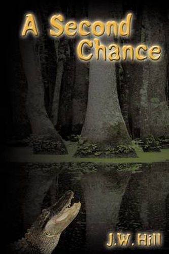 Cover image for A Second Chance