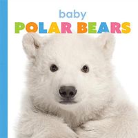 Cover image for Baby Polar Bears