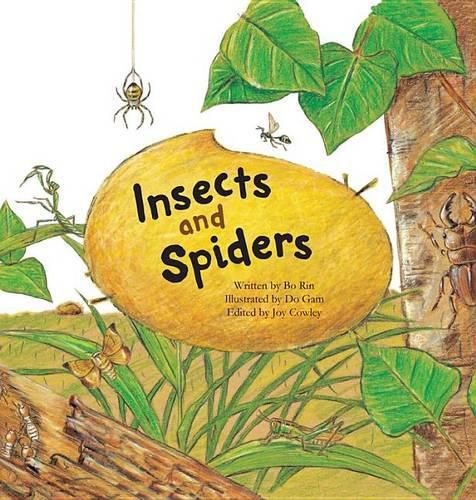 Cover image for Insects and Spiders