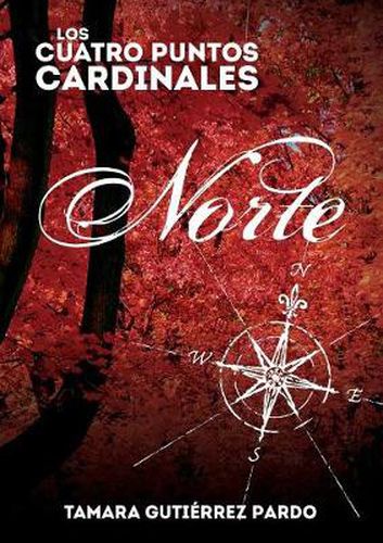 Cover image for Los Cuatro Puntos Cardinales. Norte (1a novela de la saga)