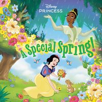 Cover image for A Special Spring! (Disney Princess)