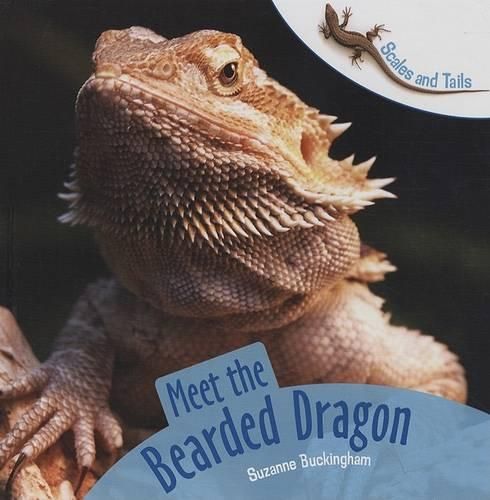 Cover image for Meet the Bearded Dragon