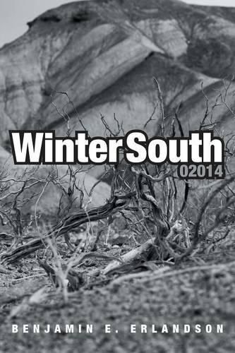 Cover image for Winter South 02014