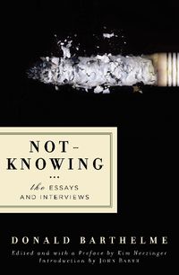 Cover image for Not-Knowing: The Essays and Interviews