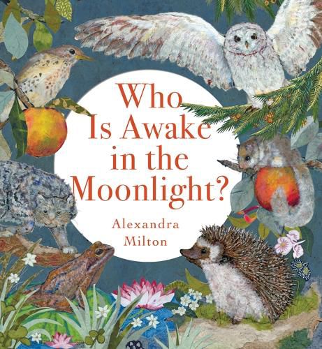Cover image for Who Is Awake in the Moonlight?