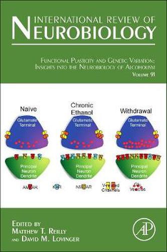 Functional Plasticity and Genetic Variation: Insights into the Neurobiology of Alcoholism