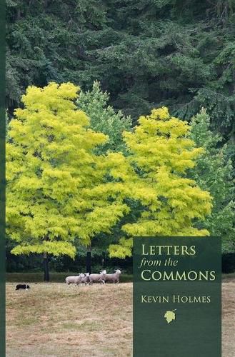 Cover image for Letters from the Commons