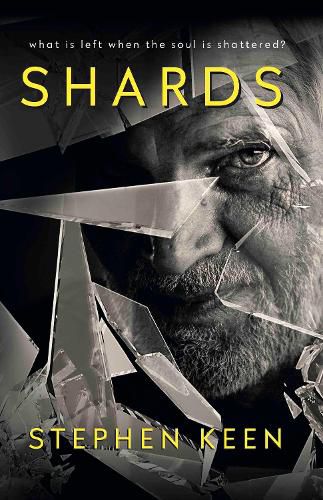 Cover image for Shards