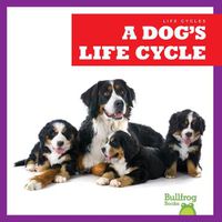 Cover image for A Dog's Life Cycle