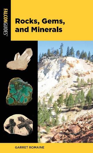 Cover image for Rocks, Gems, and Minerals