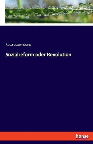 Cover image for Sozialreform oder Revolution