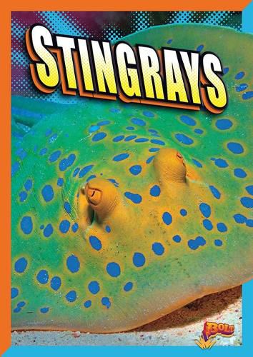 Cover image for Stingrays