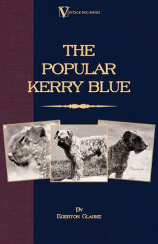 Cover image for The Popular Kerry Blue - Its History, Strains, Standard, Points, Breeding, Rearing, Management, Preparation For Show, And Sporting Attributes (A Vintage Dog Books Breed Classic)