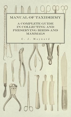 Cover image for Manual of Taxidermy - A Complete Guide in Collecting and Preserving Birds and Mammals