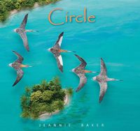 Cover image for Circle