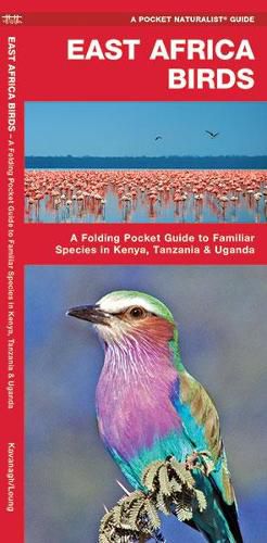 Cover image for East Africa Birds: A Folding Pocket Guide to Familiar Species in Kenya, Tanzania & Uganda