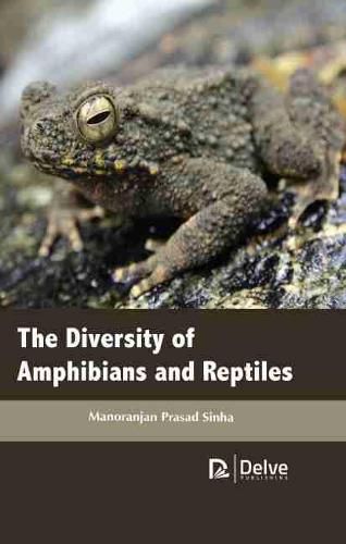 Cover image for The Diversity of Amphibians and Reptiles