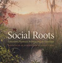 Cover image for Social Roots