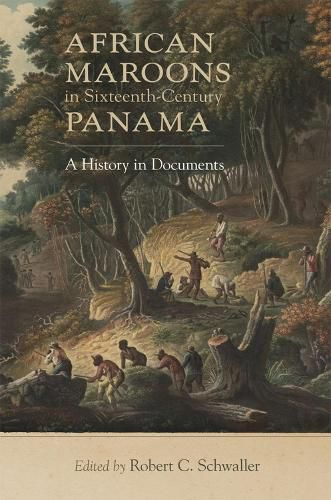 Cover image for African Maroons in Sixteenth-Century Panama: A History in Documents