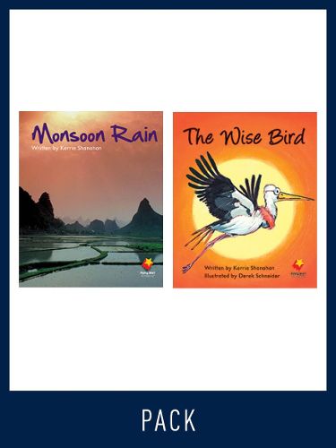 Cover image for Flying Start Guided Reading Pack Level 14, Pack 4: Paired student books (6x6) and lesson plan (1)