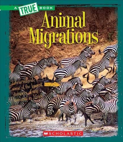 Cover image for Animal Migrations