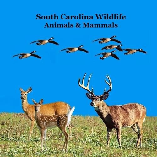 Cover image for South Carolina Animals and Mammals Kids Wildlife Book