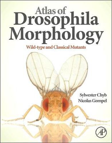 Cover image for Atlas of Drosophila Morphology: Wild-type and Classical Mutants