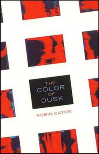 Cover image for The Color of Dusk