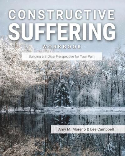 Cover image for Constructive Suffering