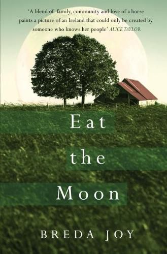 Cover image for Eat The Moon