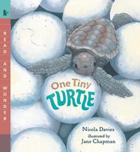 Cover image for One Tiny Turtle