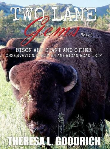 Cover image for Two Lane Gems, Vol. 2: Bison are Giant and Other Observations from an American Road Trip