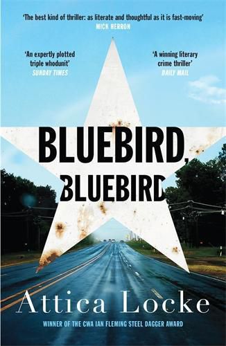 Cover image for Bluebird, Bluebird