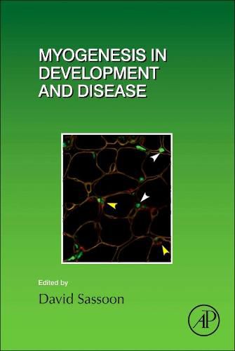 Myogenesis in Development and Disease