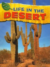 Cover image for Life in the Desert