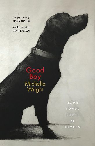 Cover image for Good Boy